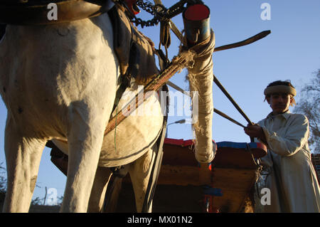 Egyptian Farmer Selling Carrots Beside The Road, Cairo, Egypt on 02-09-2006 Stock Photo