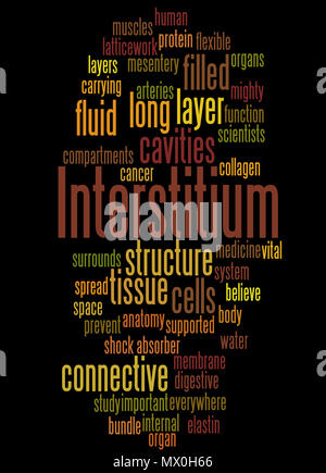 Interstitium (new organ discovered in human body) word cloud concept on black background. Stock Photo