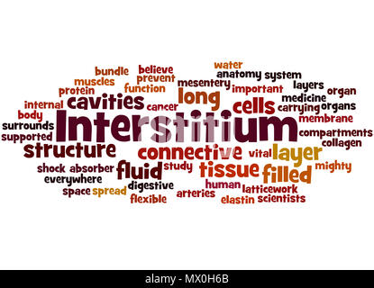 Interstitium (new organ discovered in human body) word cloud concept on white background. Stock Photo