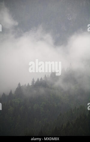 foggy clouds rising from dark mountain forest Stock Photo