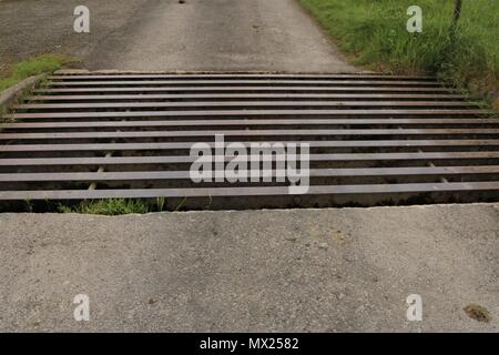 Cattle grid in the countryside Stock Photo