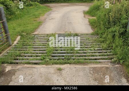 Cattle grid in the countryside Stock Photo