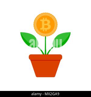 Growth bit coin. Crypto potted plant. Vector bitcoin finance, financial crypto growing, btc profit increase illustration Stock Vector