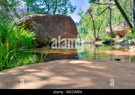 Looking over flat rock surface at small pool of water with huge boulder on far side; surrounded by green grass and trees under bright blue sky. Stock Photo