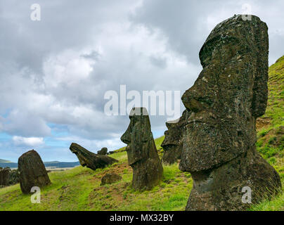 Close up of unfinished and abandoned Moai heads, Rano Raraku quarry, Easter Island, Rapa Nui, Chile Stock Photo