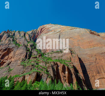 Tall red-orange rusty colored vertical rock mountain side with cliffs and green trees under bright blue sky. Stock Photo
