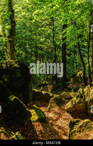 Path Between The Rocks Forest path leading between the rocks Stock Photo - Alamy