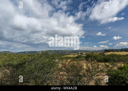 Eastern cape landscape with farmland and high cloud outside port elizabeth on the garden route, eastern cape, south africa Stock Photo