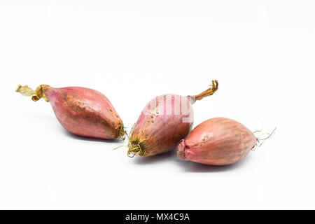 Shallot onions isolated on white background Stock Photo