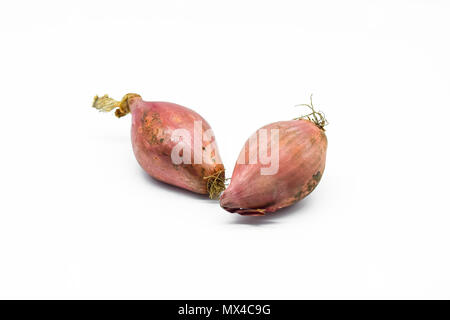 Shallots isolated on white background Stock Photo