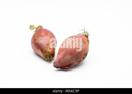Shallot onions isolated on white background Stock Photo