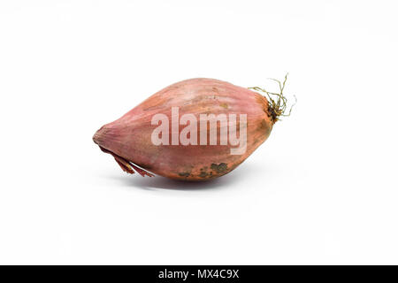 Shallot onion isolated on white background Stock Photo