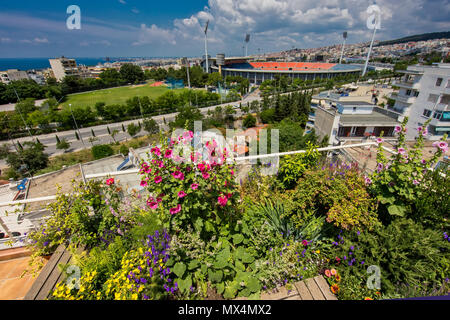 Beautiful modern terrace with a lot of flowers in Thessaloniki, Greece Stock Photo