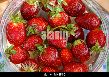 Fresh strawberry in capacity with water Stock Photo