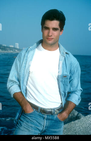 MALIBU, CA - JULY 24: (EXCLUSIVE) Actor John Haymes Newton poses during a photo shoot on July 24, 1991 in Malibu, California. Photo by Barry King/Alamy Stock Photo Stock Photo