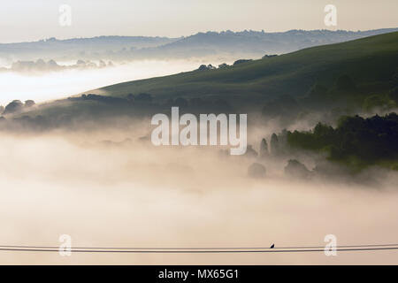 North Wales, UK Weather:  A warm start to the day in North Wales with pockets of low level fog in areas.  A beautiful landscape as the trees in the foothills are silhouietted against the weather inversion causing mist to form on lower ground near the village of Nannerch Stock Photo