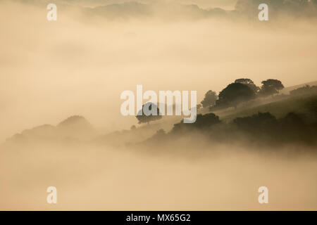 North Wales, UK Weather:  A warm start to the day in North Wales with pockets of low level fog in areas.  A beautiful landscape as the trees in the foothills are silhouietted against the weather inversion causing mist to form on lower ground near the village of Nannerch Stock Photo
