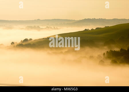 North Wales, UK Weather:  A warm start to the day in North Wales with pockets of low level fog in areas.  A beautiful landscape as the trees in the foothills are silhouietted against the weather inversion causing mist to form on lower ground near the village of Nannerch Stock Photo