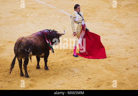 Granada, Spain, 2nd June, 2018. A matador is waiting for the bull to attack at the Plaza de Toros of Granada, Spain. For the local fair, tens of thousands of gather, to see the bullfights, taking place in the Andalucian city of Granada, Spain. Credit: Gergő Lázár/Alamy Live News Stock Photo