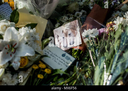 London, UK. 3rd Jun, 2018. One of the messages of the Flowers Tribute for the victims of London Bridge. A memorial service is being held near London Bridge to pay tribute to the victims who lost their lives during the London Bridge Terrorist Attack a year ago. Credit: SOPA Images Limited/Alamy Live News Stock Photo