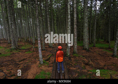 Young boy in red rain jacket standing on a boardwalk in dark, dramatic, dense pine forest Stock Photo