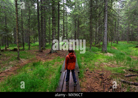 Young boy in red rain jacket standing on a boardwalk in dark, dramatic, dense pine forest Stock Photo