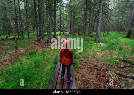 Young boy in red rain jacket standing on a boardwalk in dark, dramatic, dense pine forest Stock Photo