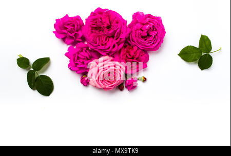 Pink roses arrangement on white background top view Stock Photo