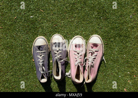A pair of pink and blue sneakers on the lawn in the sunshine, maybe representing male and female Stock Photo