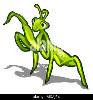 Beetle praying mantis isolated on a white background. Vector illustration. Stock Vector