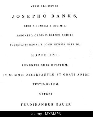 . This is an image of the second page of Ferdinand Bauer's 19th century book Illustrationes Florae Novae Hollandiae, upon which appears the book's dedication. The original work was published in three issues released between 1806 and 1830.. Ferdinand Bauer 294 Illustrationes Florae Novae Hollandiae page 2 Stock Photo