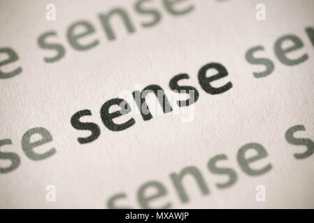 word sense printed on white paper macro Stock Photo