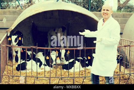 Professional senior vet standing near calves barn in livestock farm Stock Photo