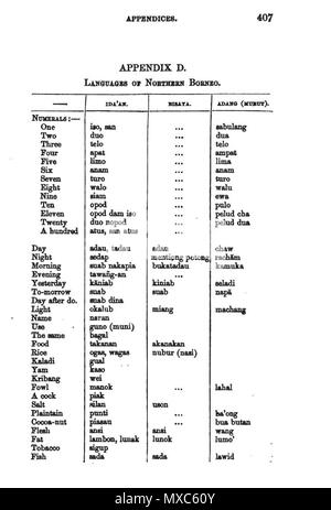 Indonesian English Dictionary For Android Apk Download