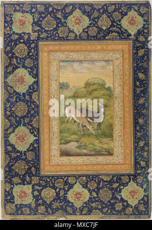 . English: Illustration by Ustad Mansur, known as Nãdir-al-’Asr ('Unequalled of the age'). 17th century Mughal artist. 1 May 2015. Ustad Mansur, Nãdir-al-’Asr 391 Mansur-27 Stock Photo