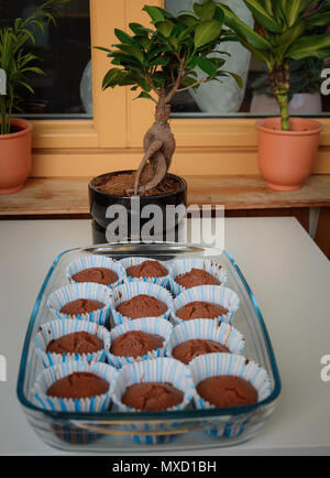 Home made Muffin with chocolate placed in glass tray and near a bonsai plant Stock Photo