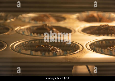 Home made Muffin with chocolate. Muffins beaing baked in electric oven Stock Photo