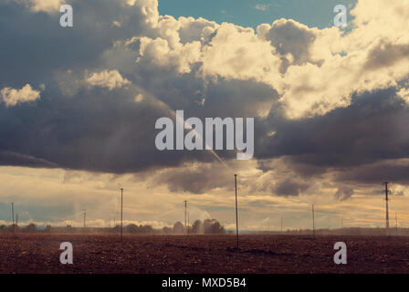 Field with sprinklers watering the sowing in a day with cloudy sky. Storm. Stock Photo