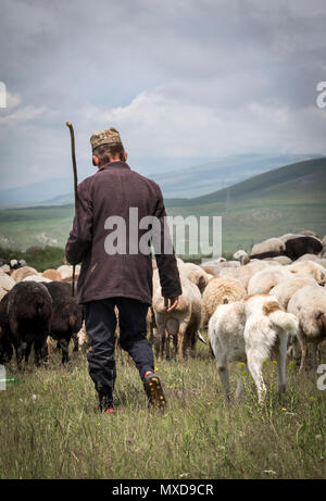 Areni, Armenia, 2nd June, 2018: armenian man herding his sheep in a countryside Stock Photo