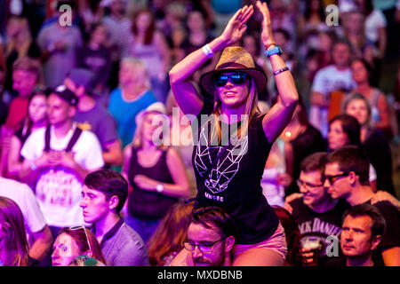 Cheering fans at summer music festival, Czech Republic cheering crowd summertime fun Stock Photo