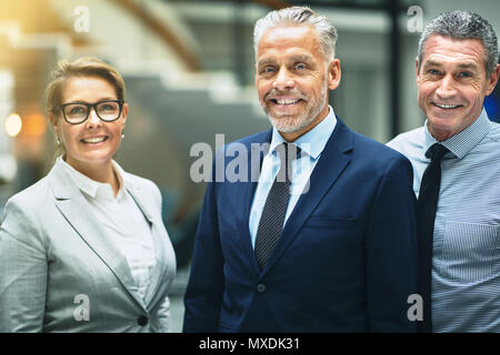 Smiling group of mature businesspeople standing together in the lobby of a modern office building Stock Photo