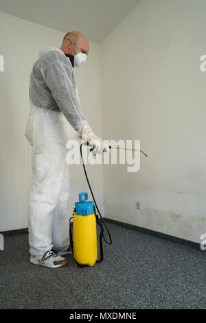 Expert in combating mold in an apartment Stock Photo