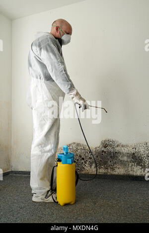 Expert in combating mold in an apartment Stock Photo