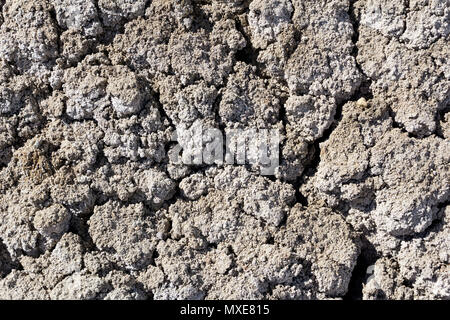 background, texture - lifeless cracked dry saline desert soil Stock Photo