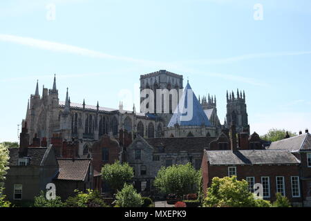Flowers on a sunny day with York minster in the back. Stock Photo