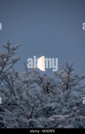 Moon half moon winter snow nightfall Stock Photo