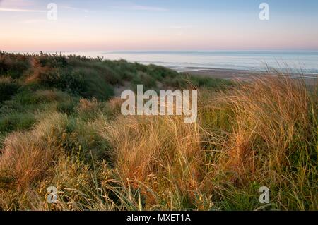 Looking over the golden grass on a sand dune at a calm sea in the South of England Stock Photo