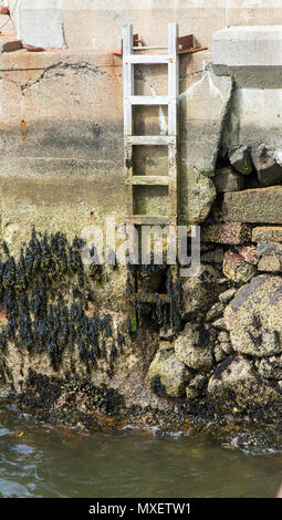 Ladder on rocky sea wall. Stock Photo