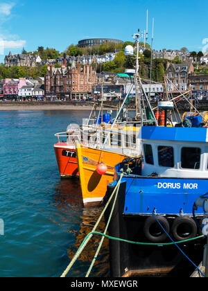 Colourful fishing boats moored in Oban harbour, Argyll and Bute, Scotland, UK Stock Photo