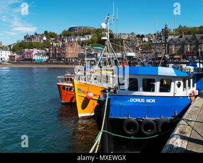 Colourful fishing boats moored in Oban harbour, Argyll and Bute, Scotland, UK Stock Photo